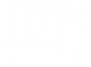 DSI-Logo-Whiteout