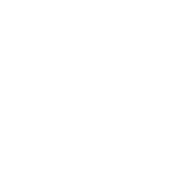 November Five white logo