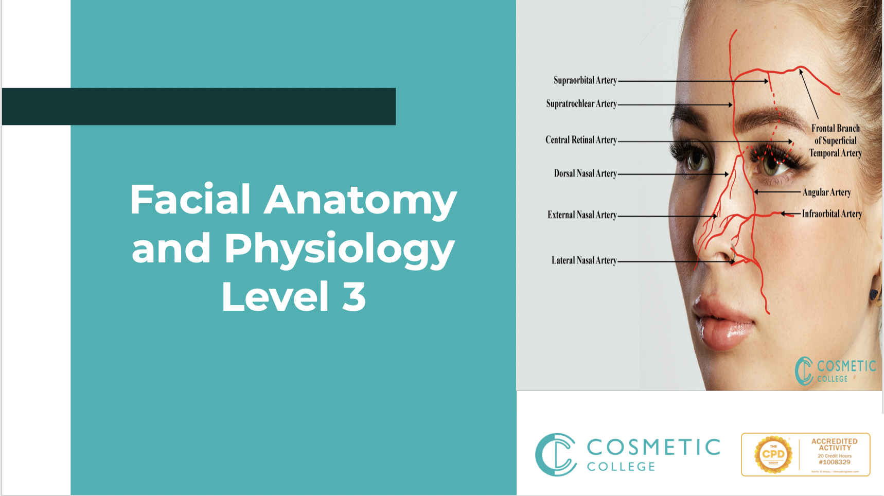 Facial Anatomy & Physiology Level 3