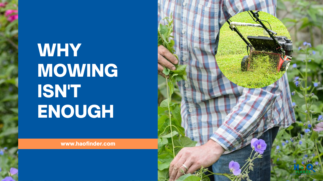 Why Mowing Isn't Enough -Gardening and Landscaping