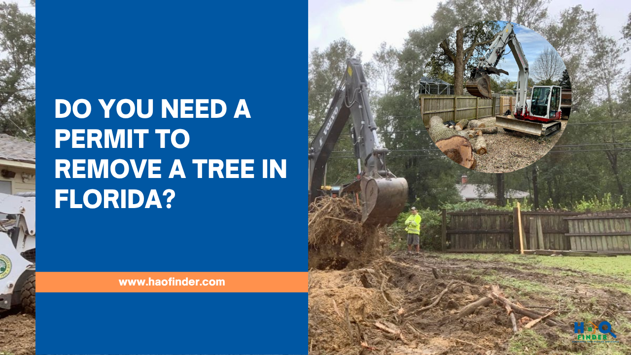 Do You Need a Permit to Remove a Tree in Florida?