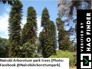 The Nairobi Arboretum forest - Kilimani