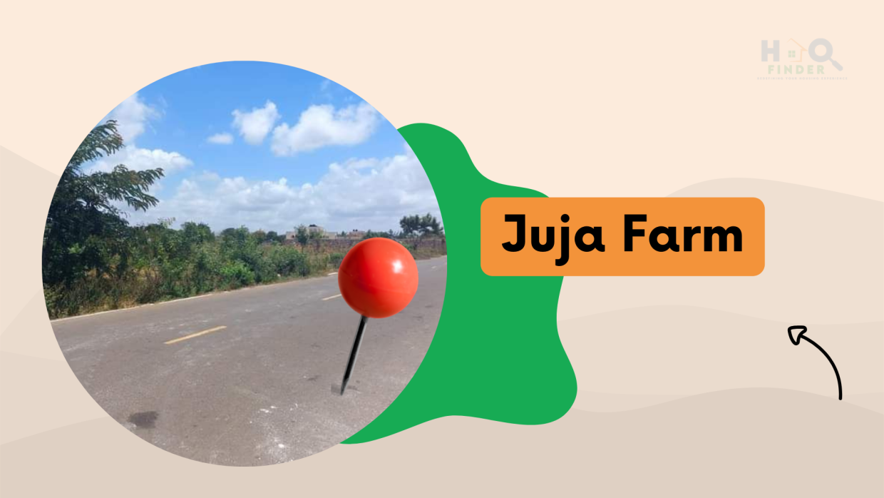 HF - Juja farm Blog