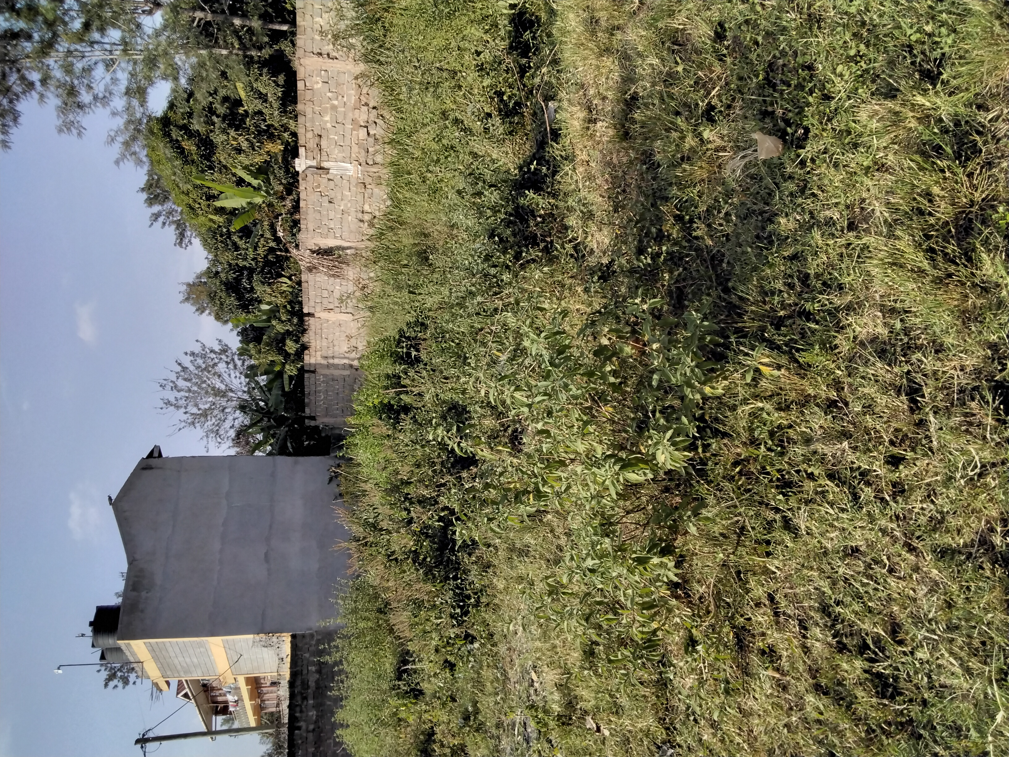 Title ready land for sale next to Thika Super Highway in Juja.