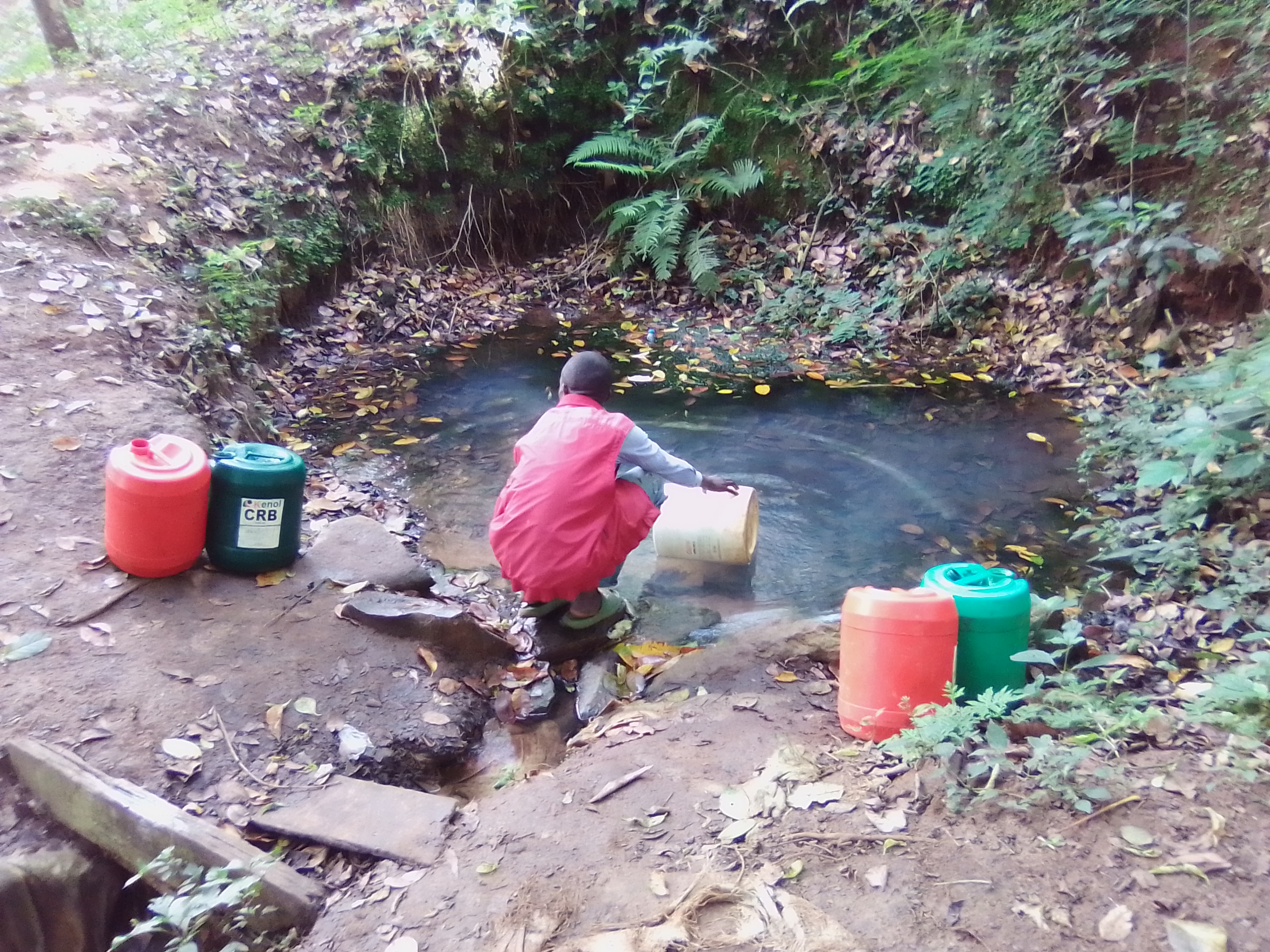 A man fetching water in an open Spring in Kitale, Kenya