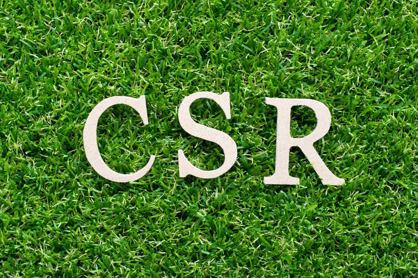 Corporate Social Responsibility (CSR).