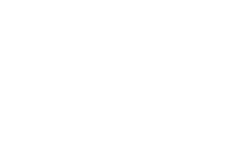 Victoria Island University-BorderPass