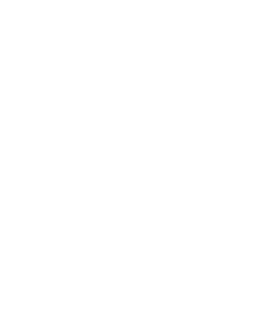 SAIT-BorderPass