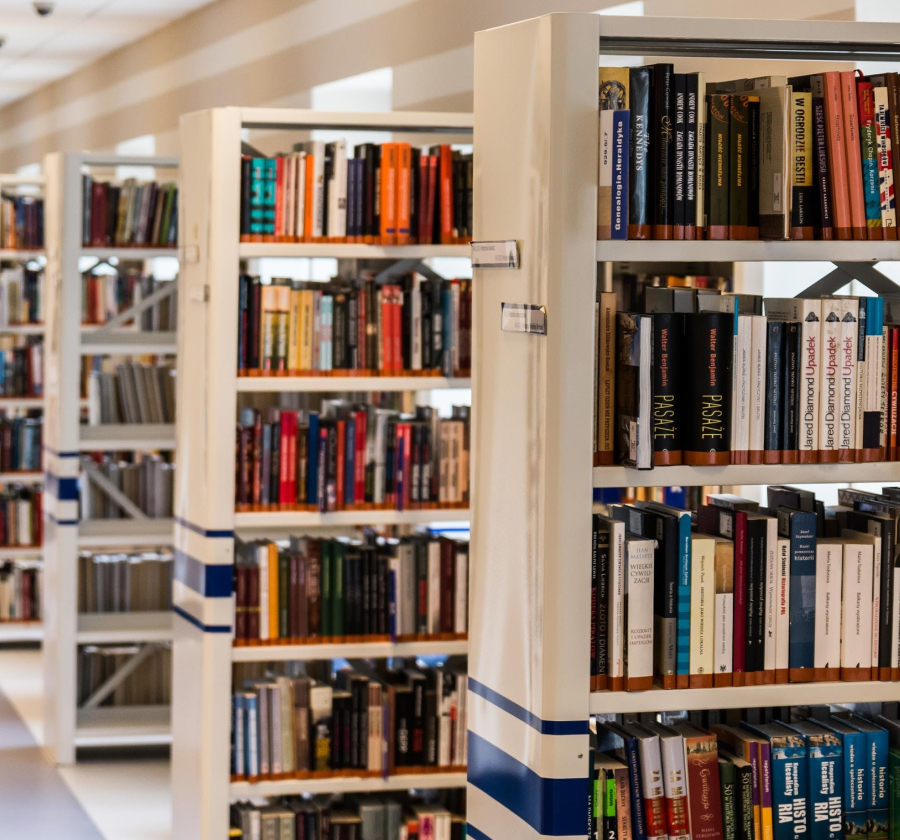 Official 2025 Study Permit Data:  A Year of Contraction with Notable Opportunities
