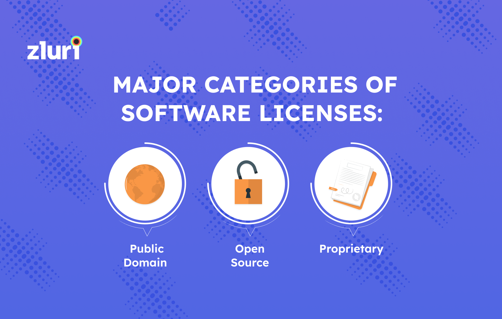 Software Licenses 