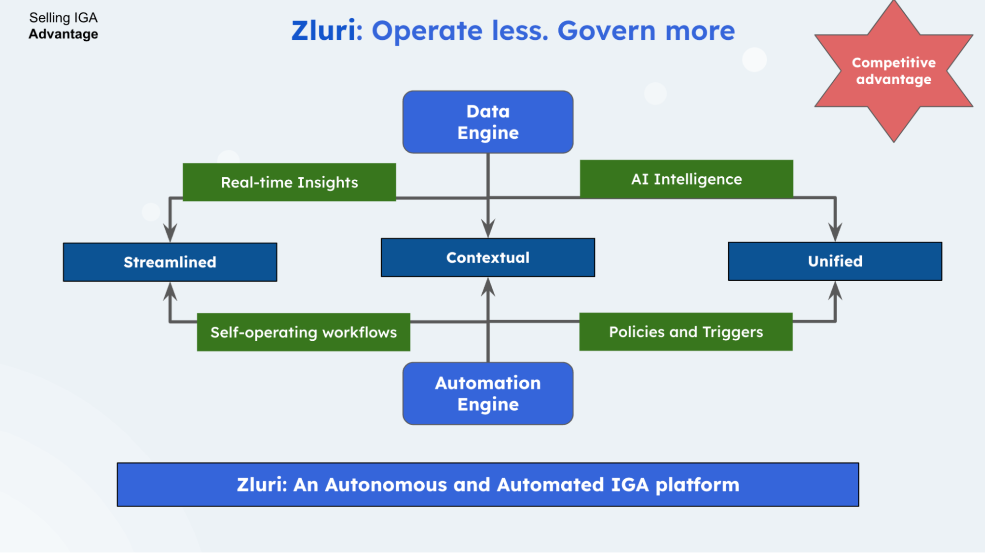 Zluris advance access governance