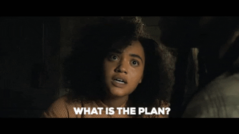 What is the plan? gif