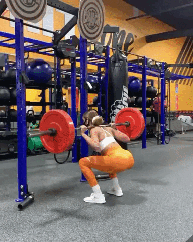 5x5 workout: woman doing barbell squats GIF
