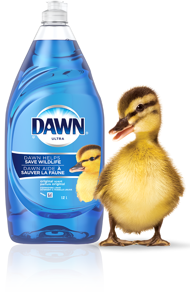 Dawn Dish soap and duck
