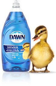 Dish Soap Dishwashing Liquids Dawn Dish Soap