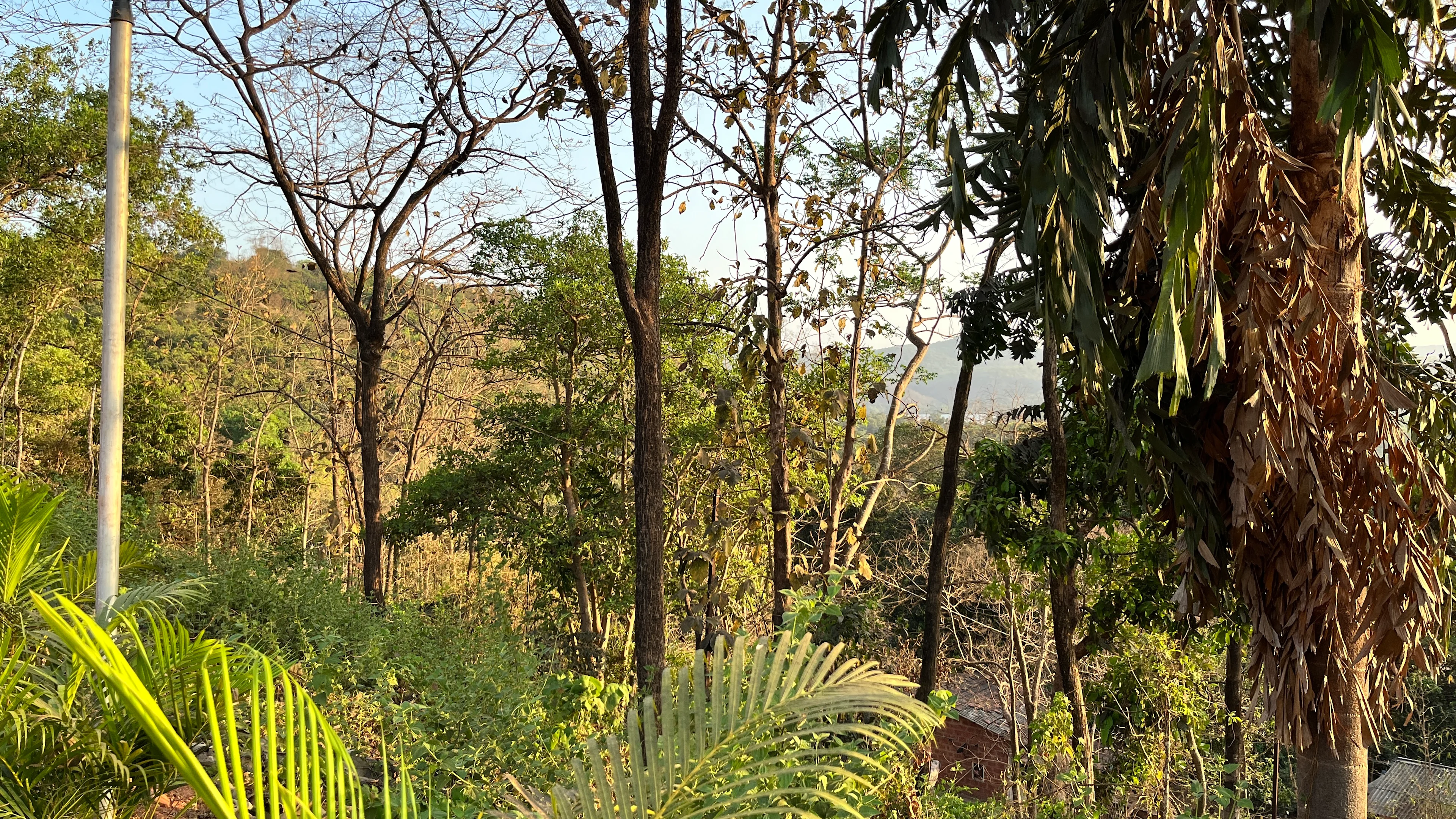 Blossom Retreat exterior — laterite stone and reclaimed teak architecture nestled in the Konkan hillside, Western Ghats, Maharashtra