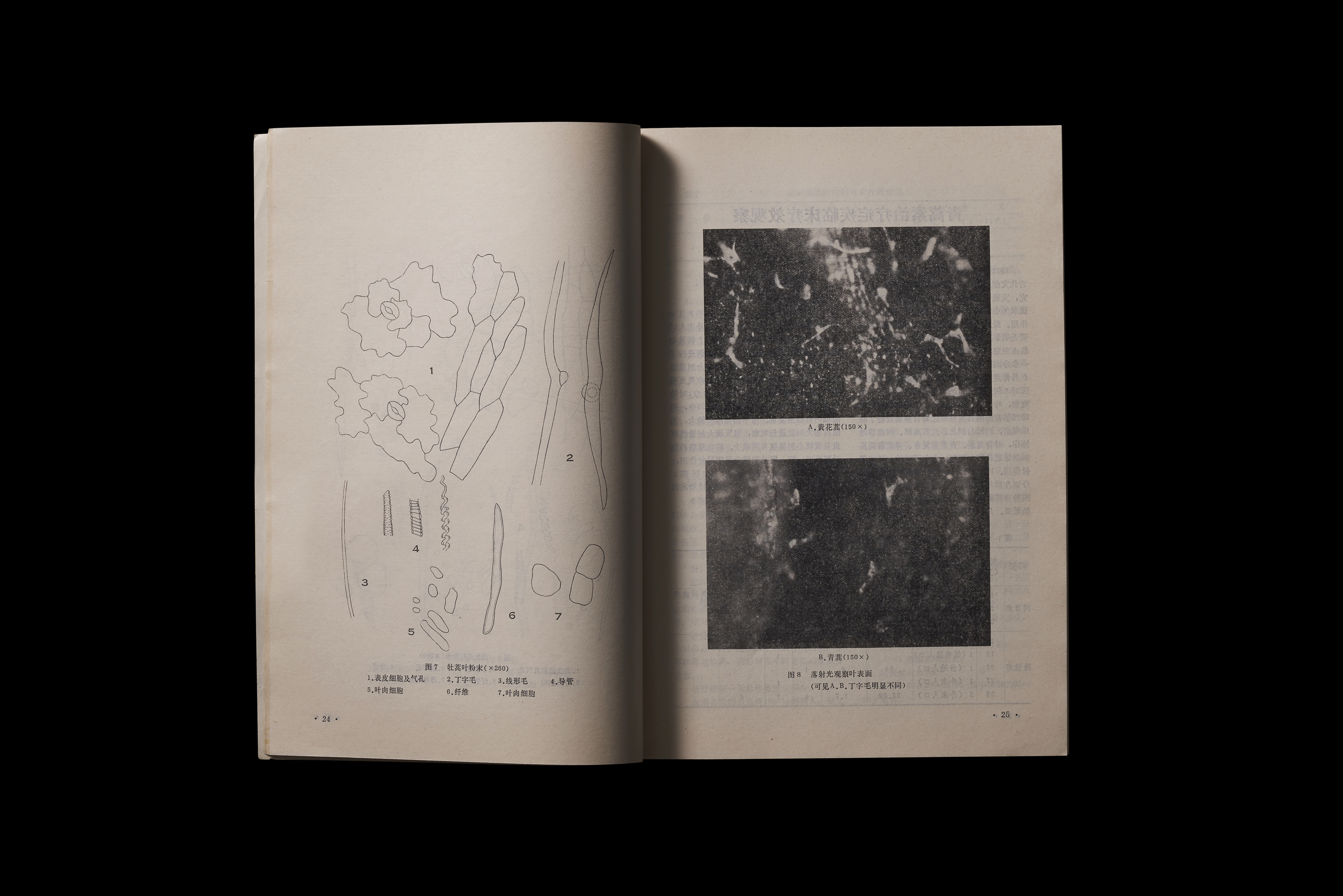 The Nobel Prize Women who changed science Tu Youyou