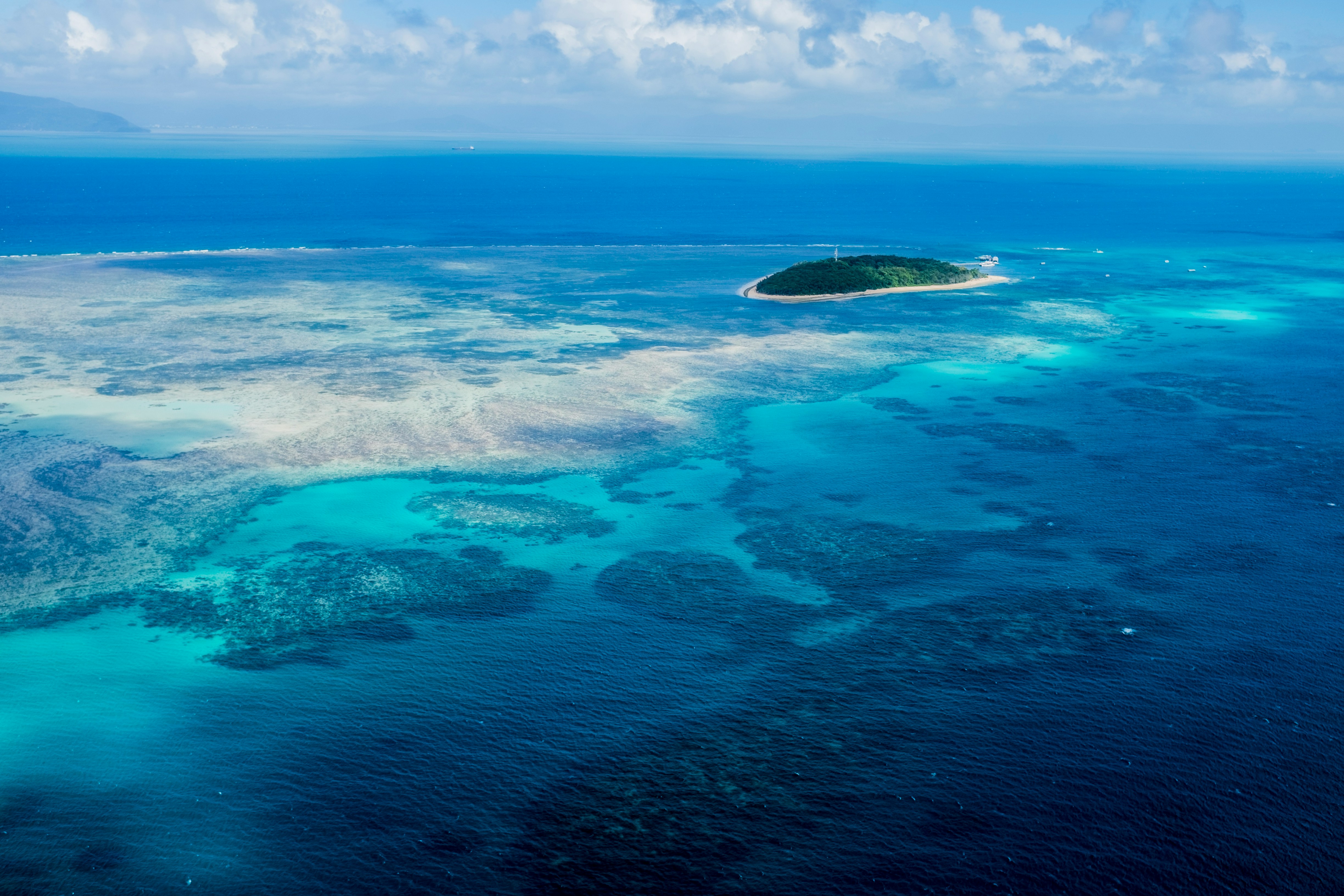 Fishing Charters Great Barrier Reef