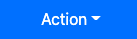 Action Button