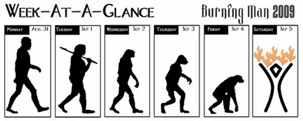 Sticker Evolution: Week-at-a-Glance
