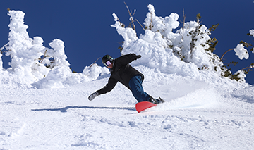 Shaun Vine snowboarding at Mt. Bachelor, on a steep slope with snow covered trees in the background.