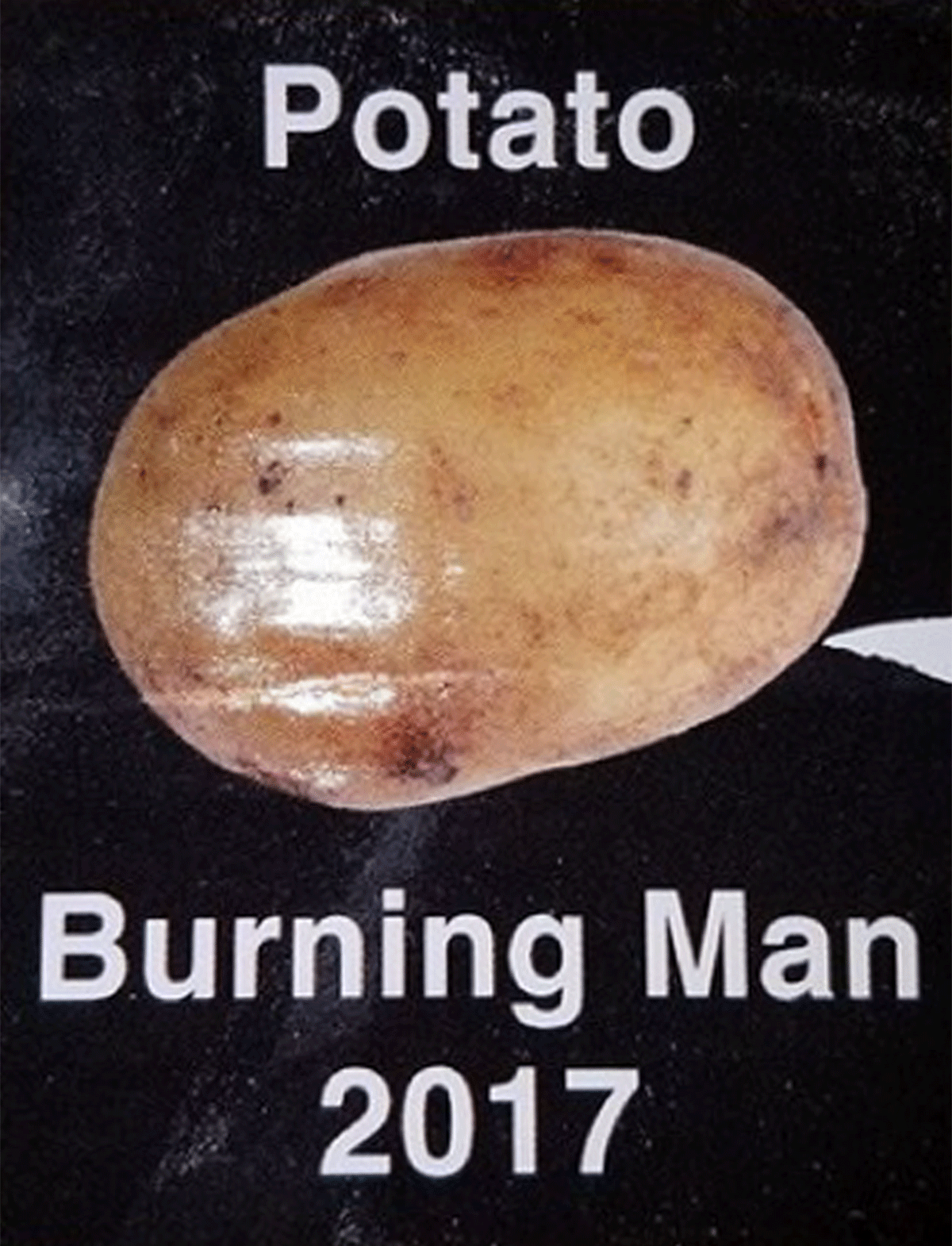 El Swear – Potato