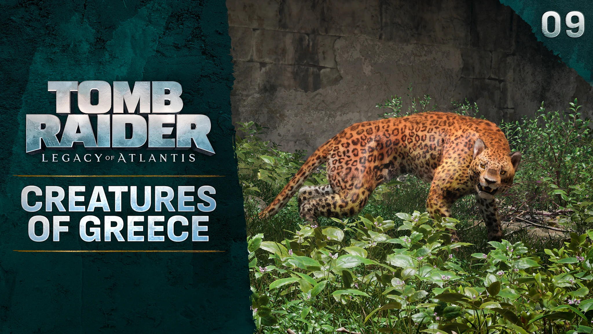Miniaturansicht eines Leoparden, der in aggressiver Haltung durch üppige Vegetation läuft. Neben dem Logo von Tomb Raider: Legacy of Atlantis ist der Text „Die Kreaturen Griechenlands“ zu sehen.