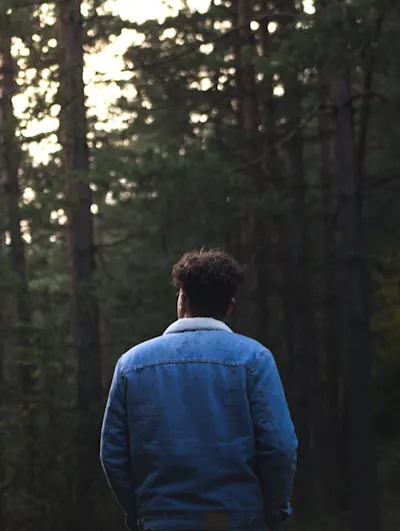 Soltech Bolita Scroll