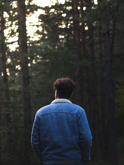 Soltech Bolita Scroll