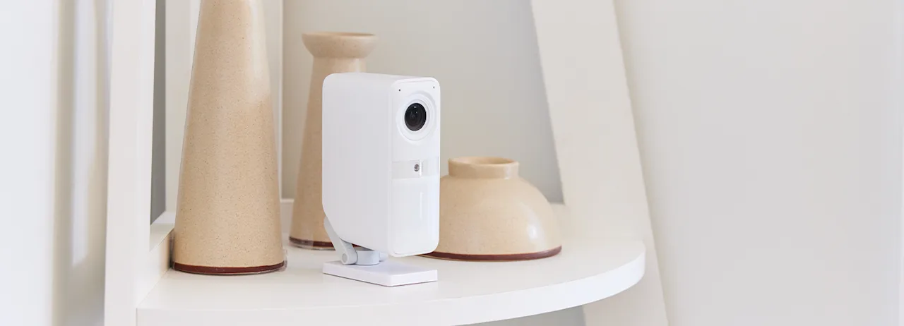 Smart Alarm Indoor Camera