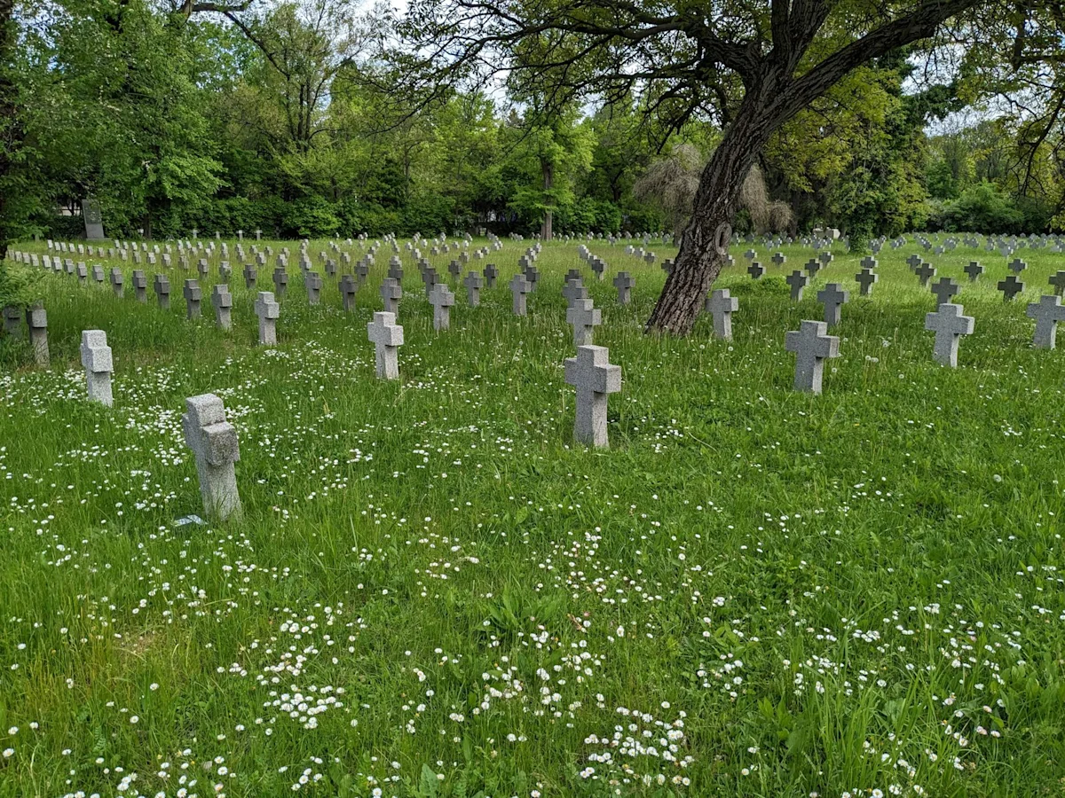 Rows of stone crosses in long grass