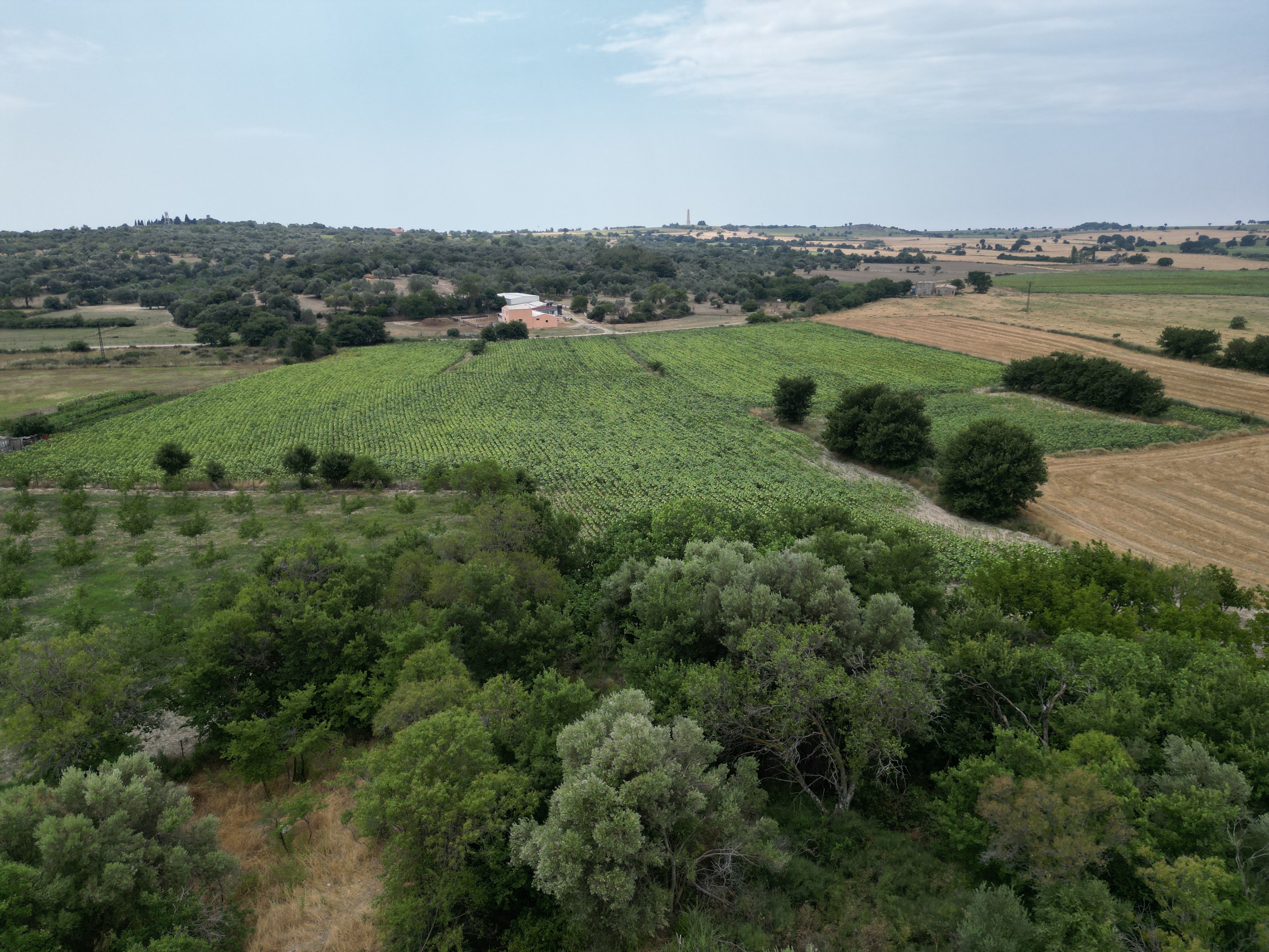 A short history of Mole Hill