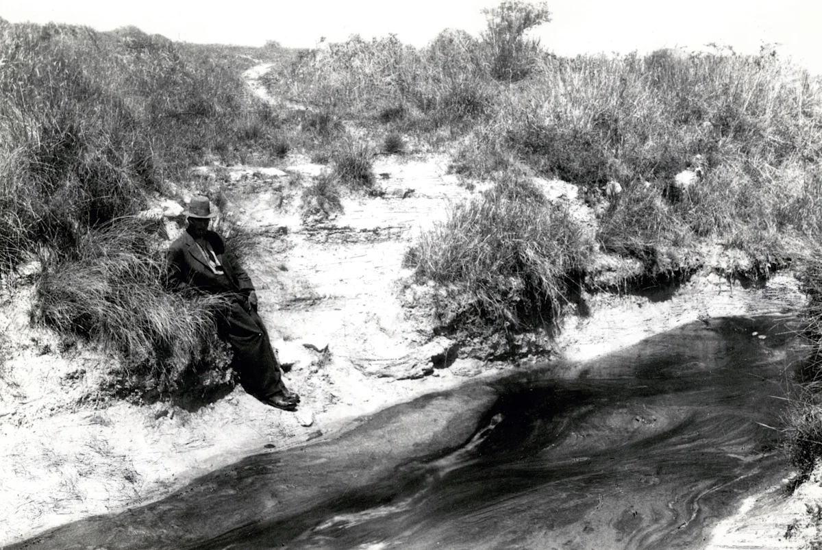 Hamilton 18 22 photographer web