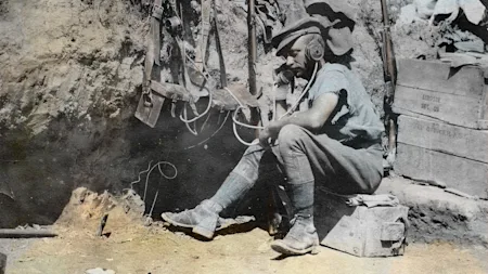 Image for Alec Riley’s First World War diaries