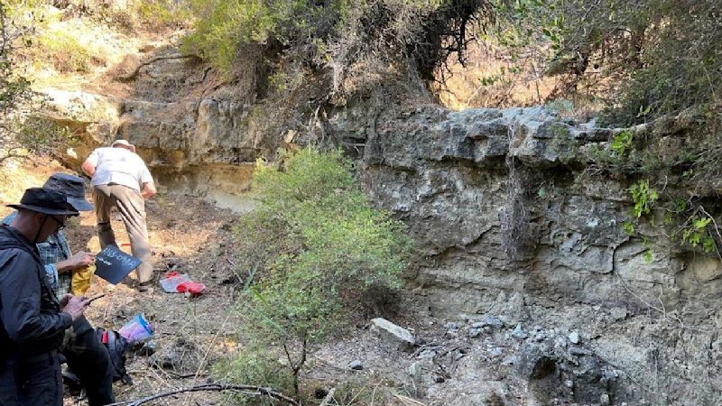 We called this place ‘Little Gully’