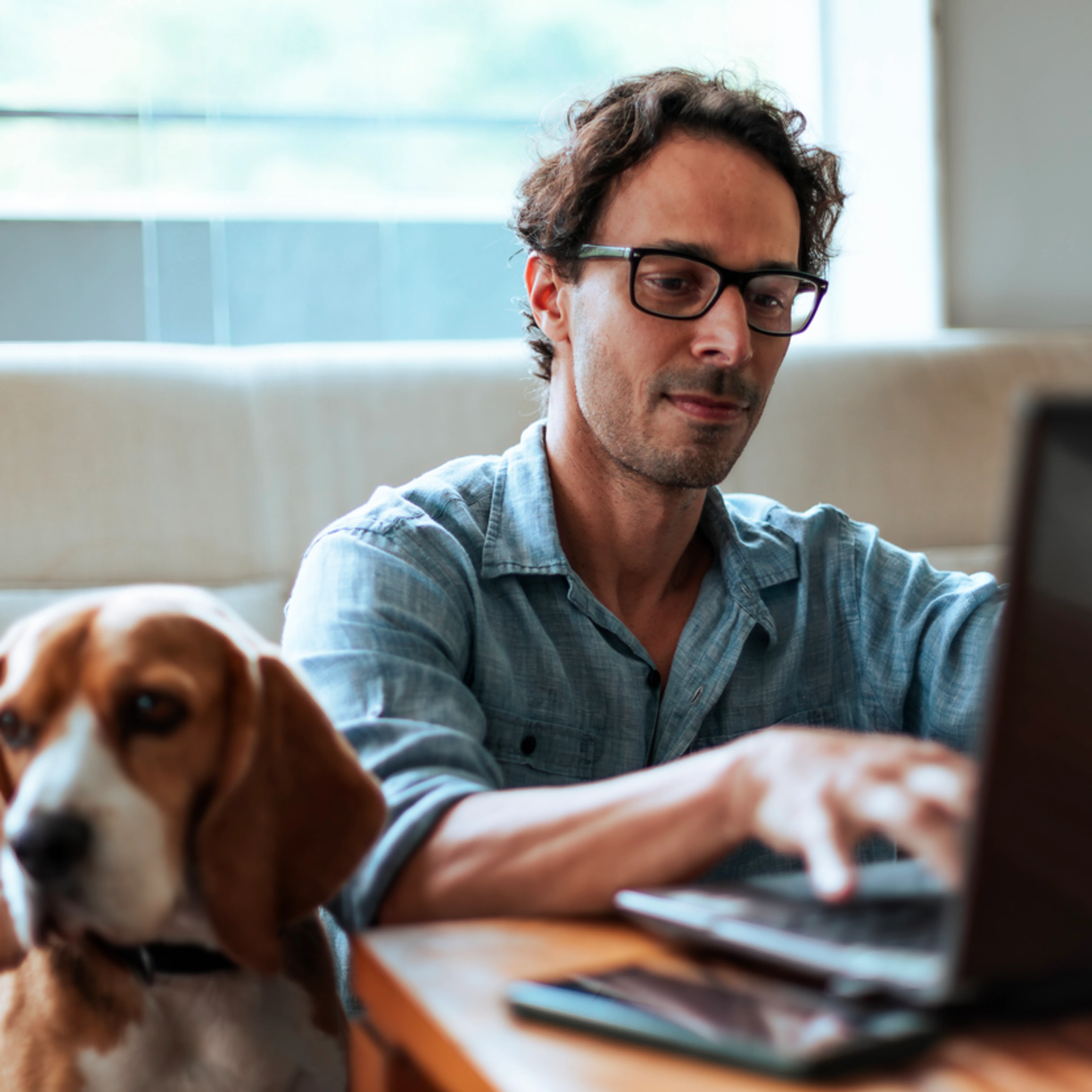 A man is focused on his laptop while sitting on a couch. He wears glasses and a casual shirt. Beside him, a calm beagle looks towards the camera.