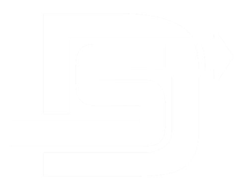 DSI Logo