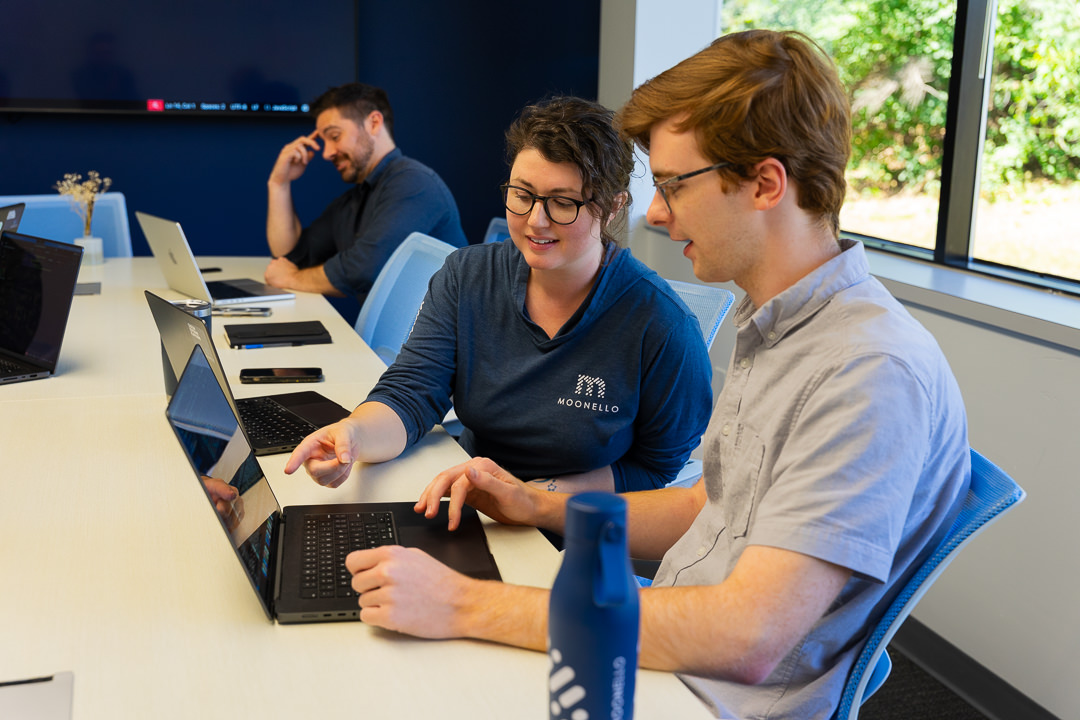 Custom Software Development Pathway To Success Moonello