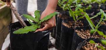 Neutralise the emissions you can’t avoid by financing carbon removal