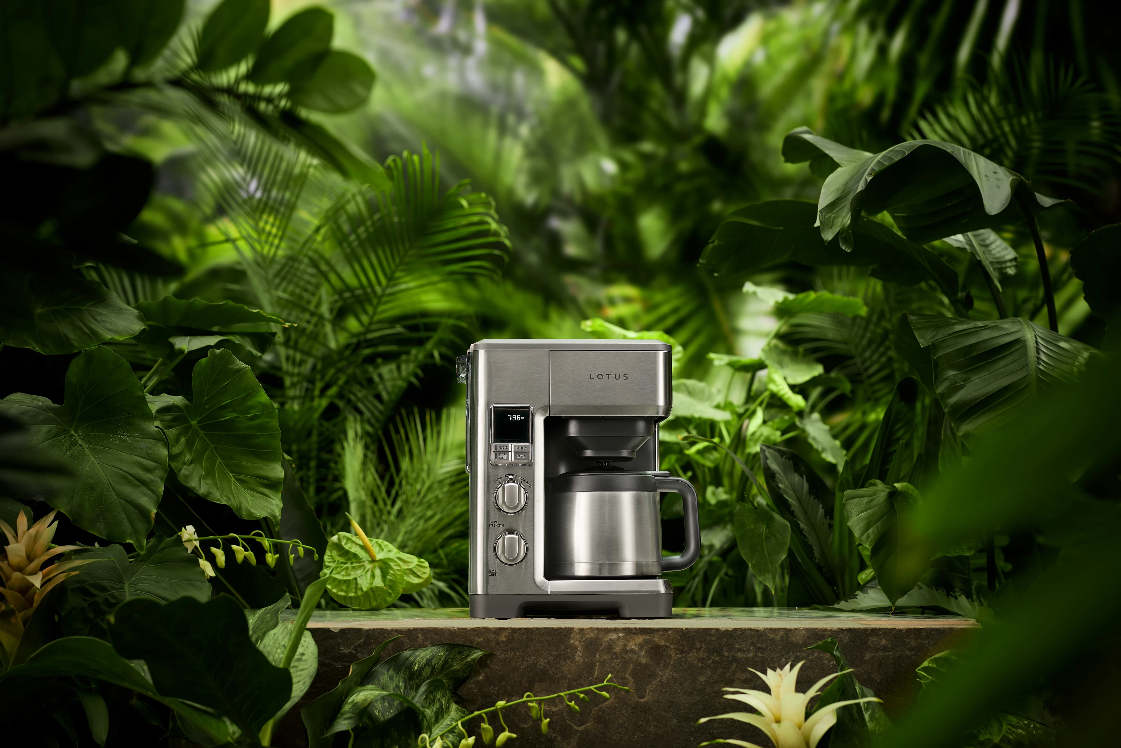 the top drip™ coffee maker with grounds scale model ltsgr500 with jungle background