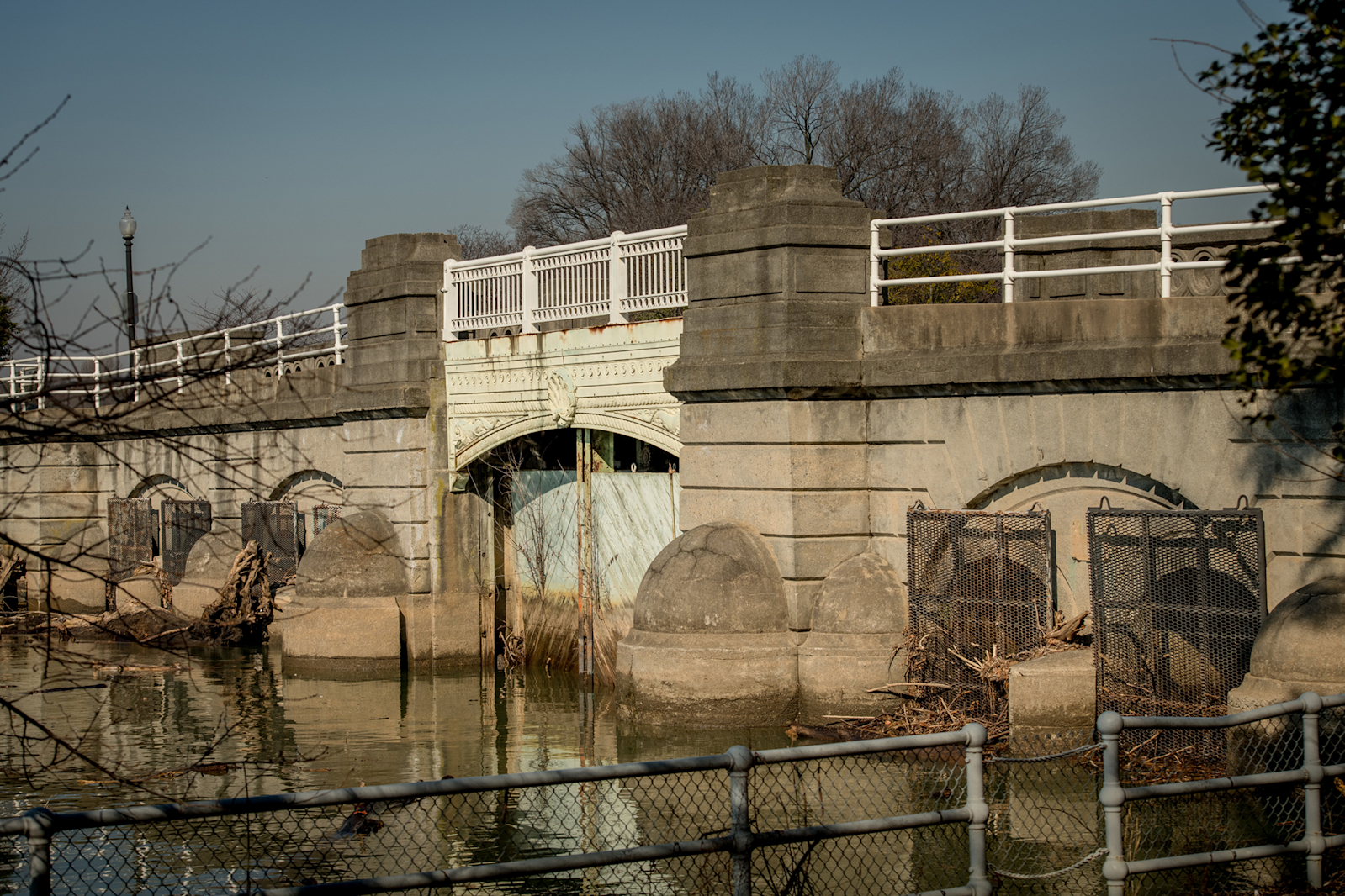 National Mall Tidal Basin Tidal Basin Ideas Lab