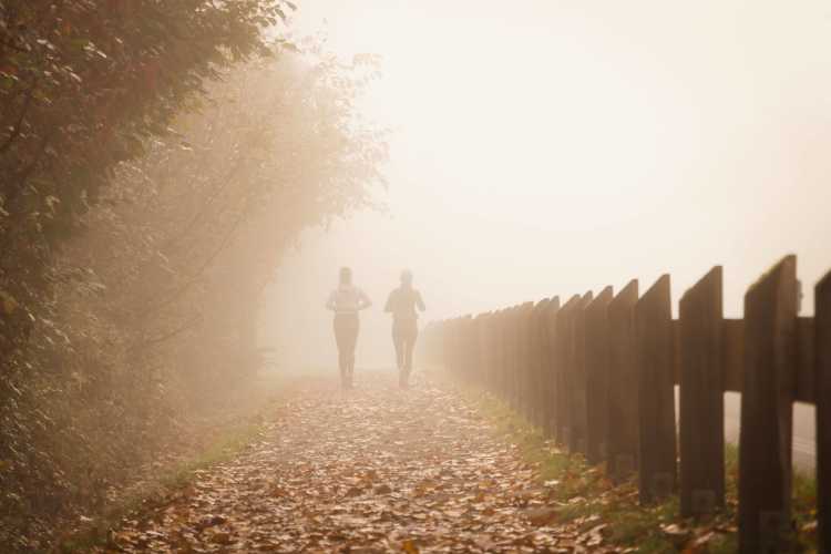 two women jogging outdoors in the morning on an autumn day