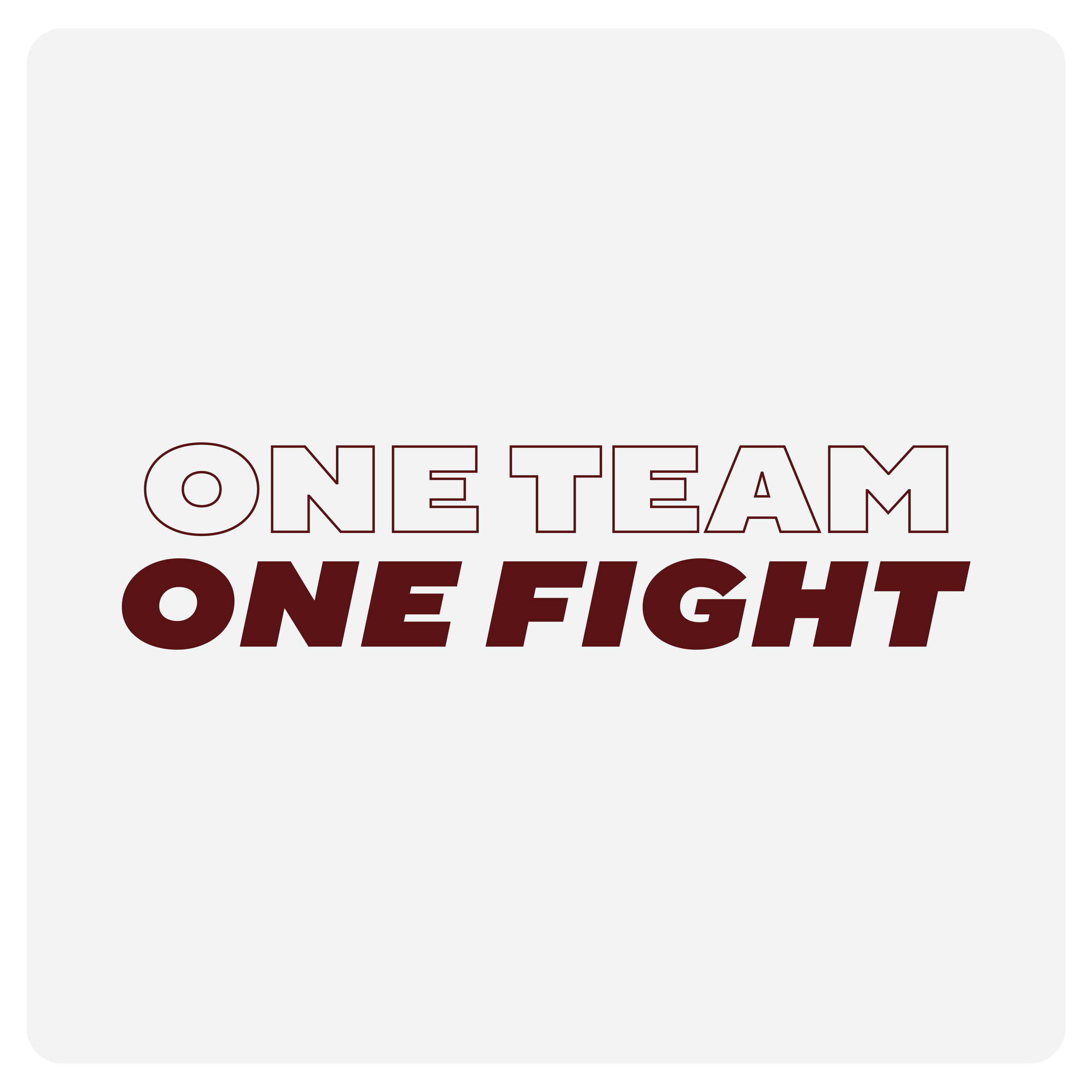 Operating Principles: One team one fight