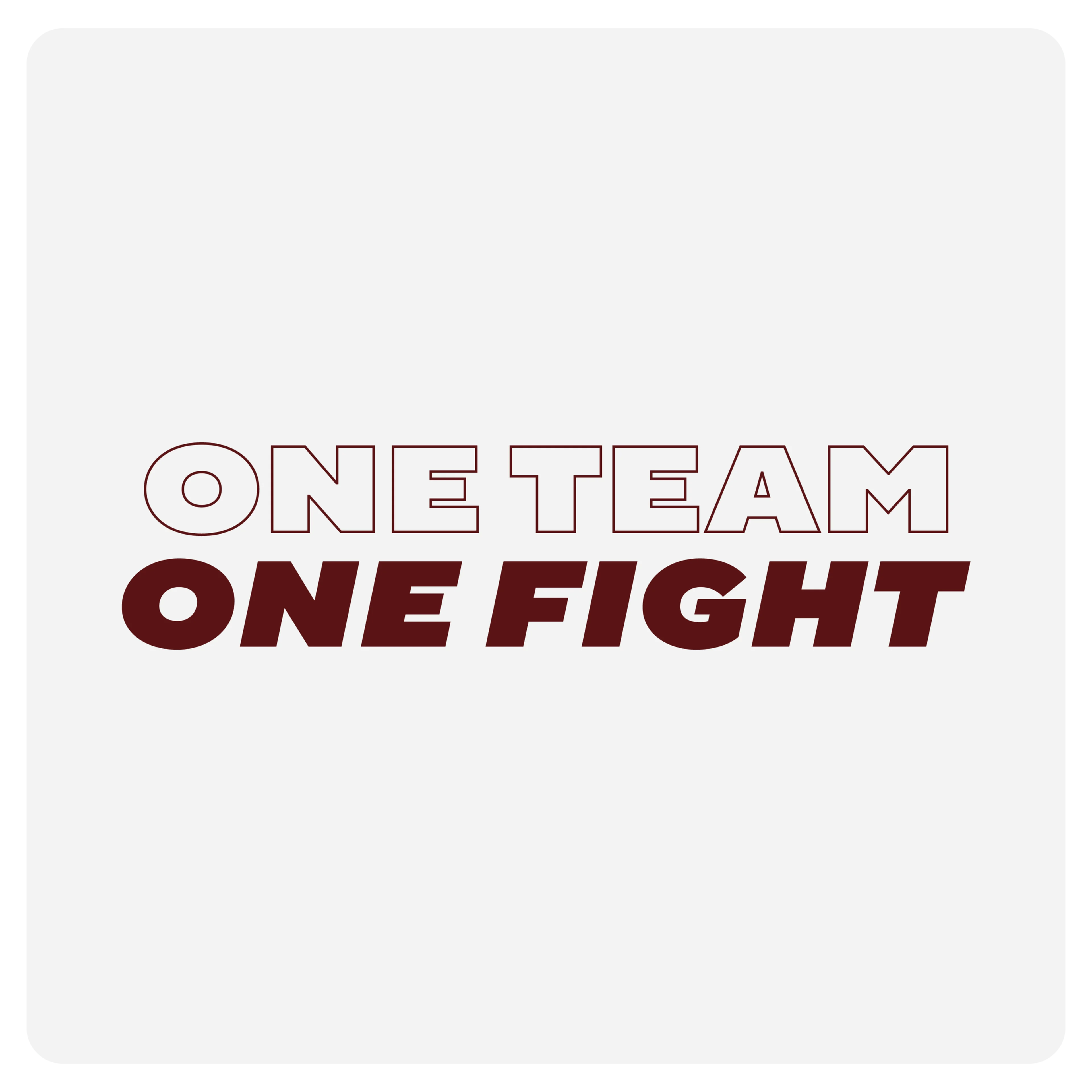 Operating Principles: One team one fight