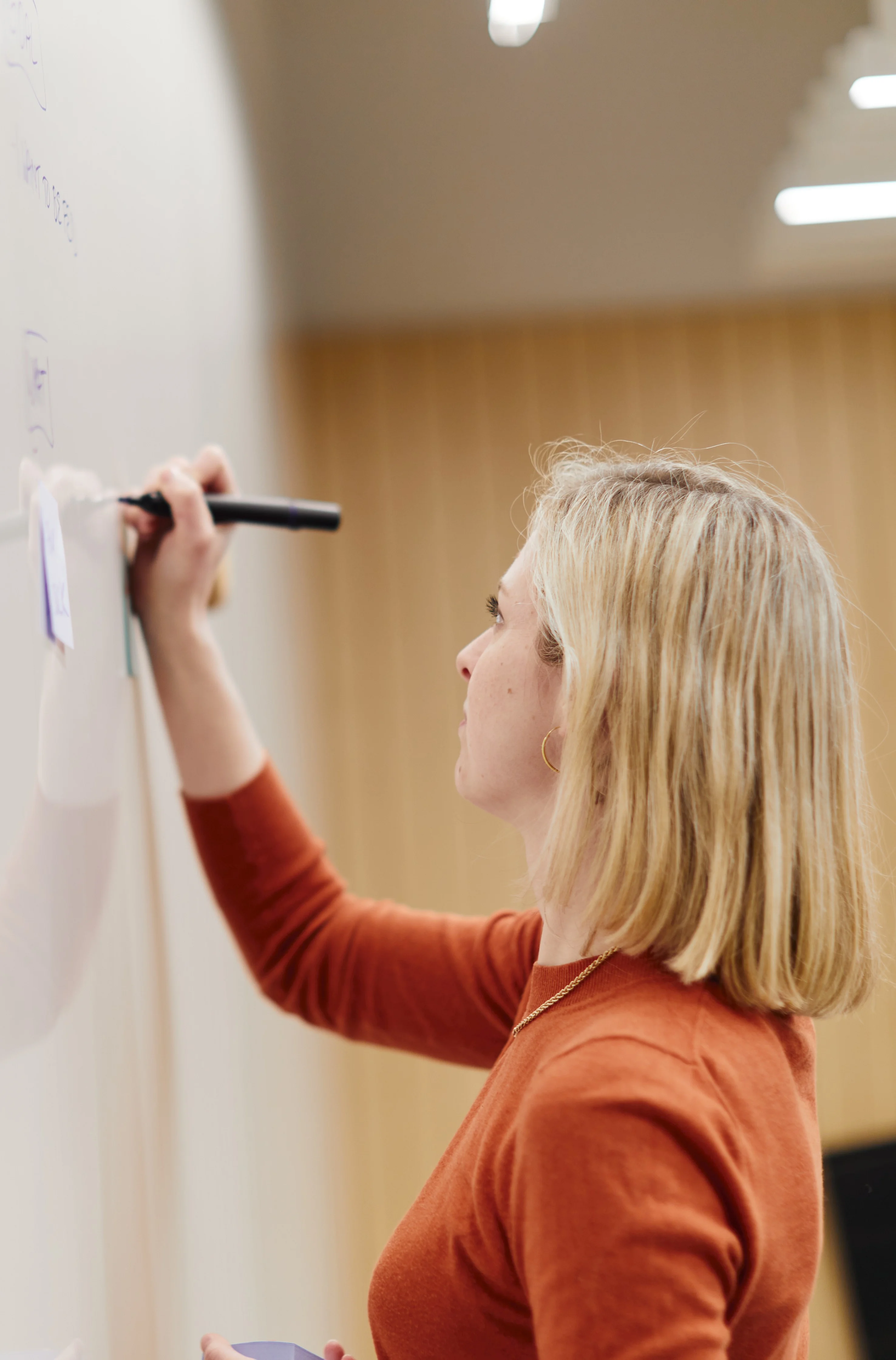 Product: woman, whiteboarding, alina