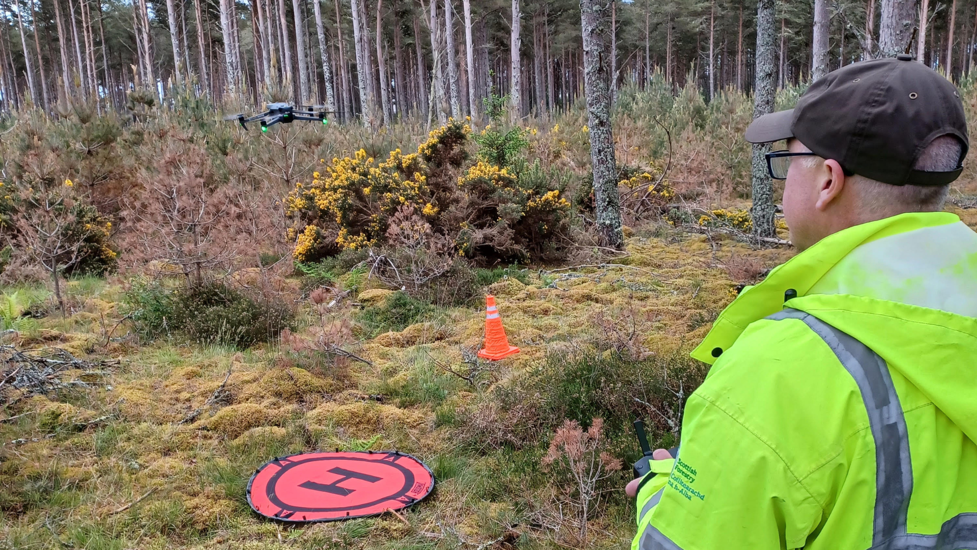 How Scottish Forestry Is Using Drones to Improve Tree Health Monitoring and Field Operations