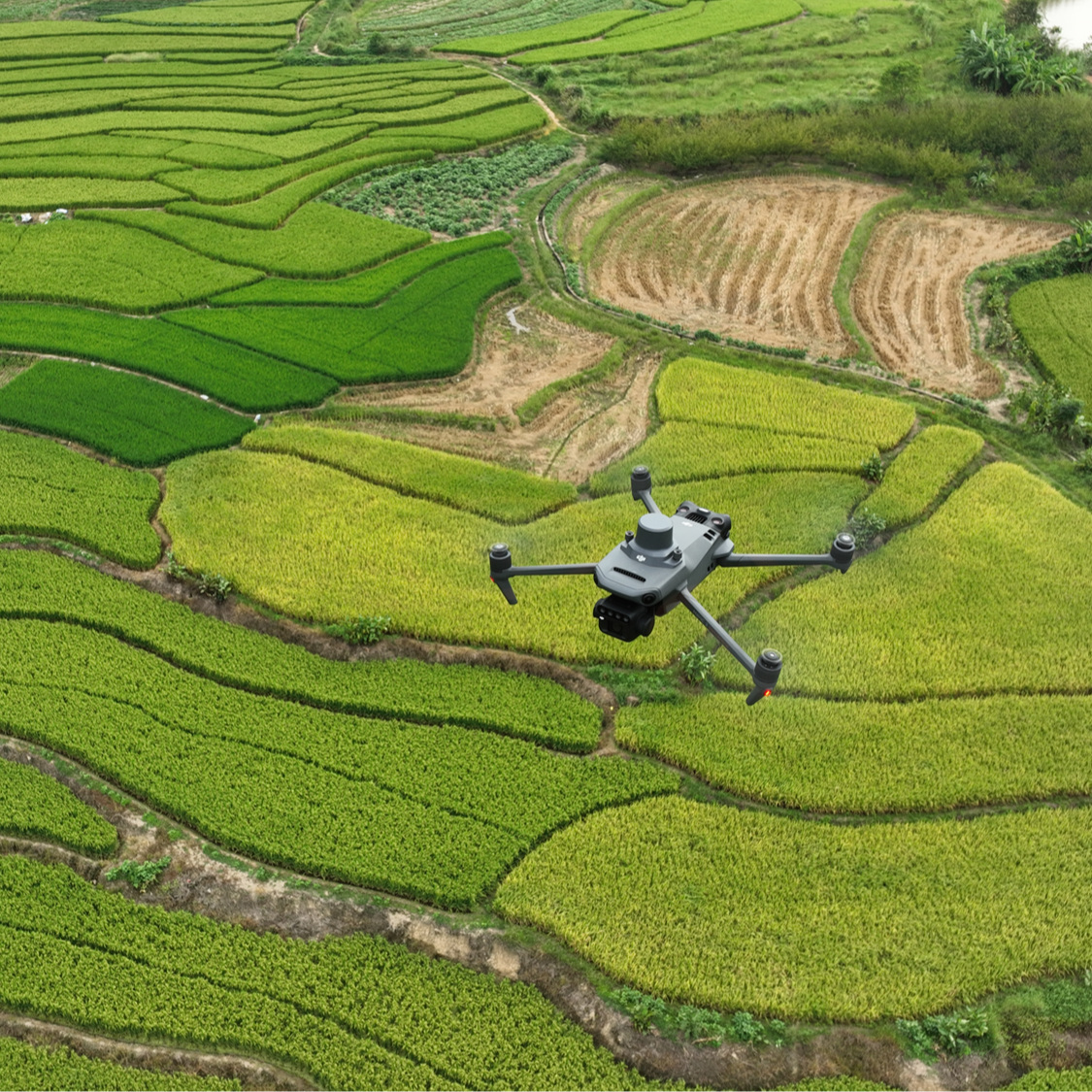 Use Smart Terrain Follow with DJI Mavic 3 Multispectral for accurate data collection.