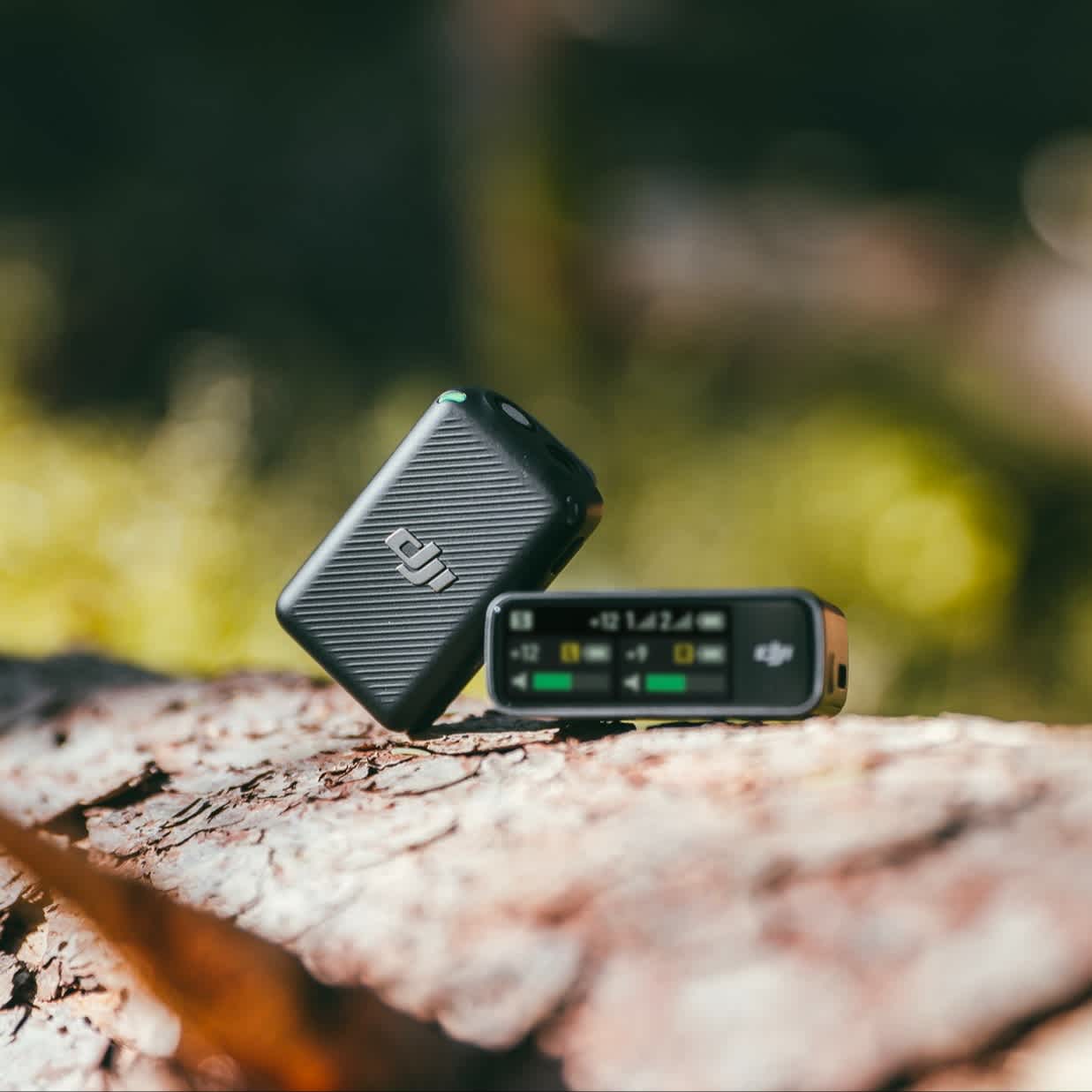 DJI Mic in nature.