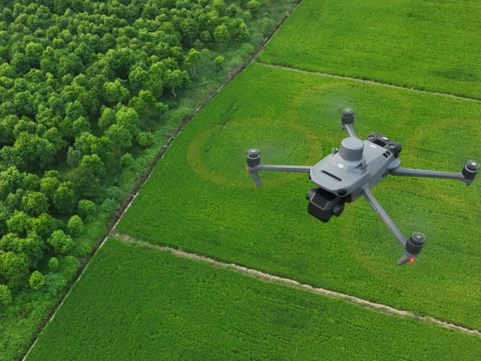 How Drones are Revolutionising Forestry Management