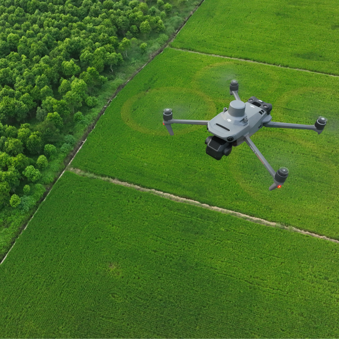 DJI Mavic 3 Multispectral can be used for a range of agricultural applications.